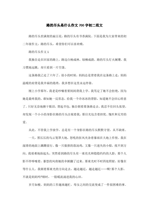 路的尽头是什么作文700字初二范文