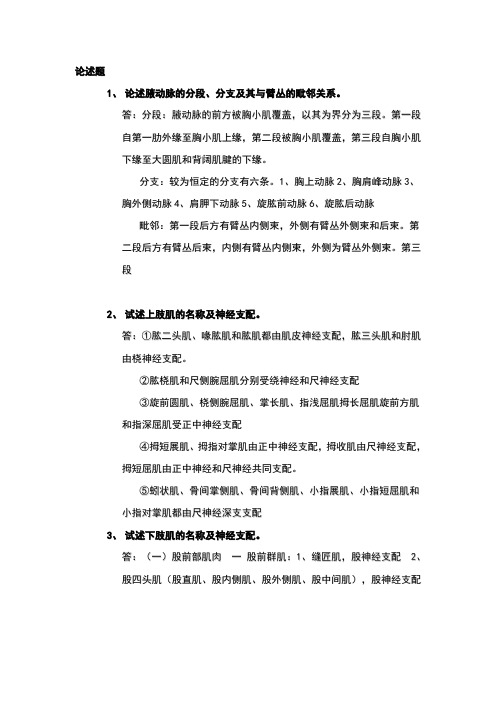论述局部解剖学汇总