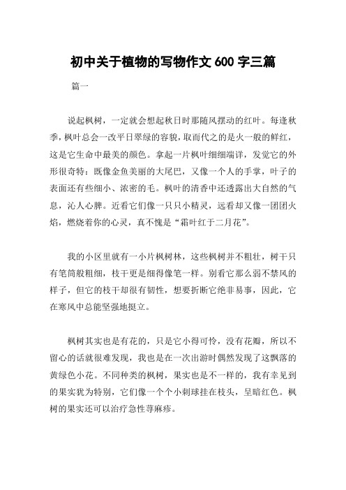 初中关于植物的写物作文600字三篇