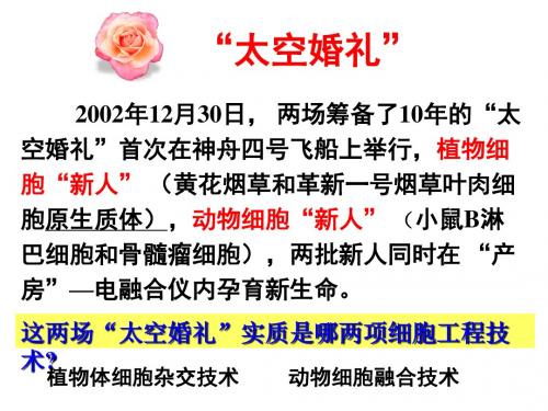 《2.2.2 动物细胞融合与单体克隆抗体 课件》高中生物人教版选修3 现代生物科技专题7776.ppt