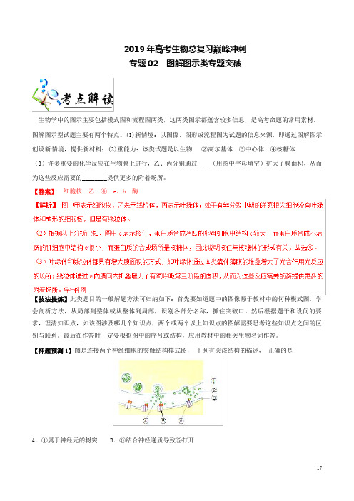2019年高考生物总复习巅峰冲刺专题02图解图示类专题突破(含解析)