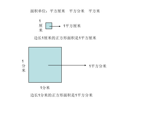 长方形和正方形面积的计算(复习)