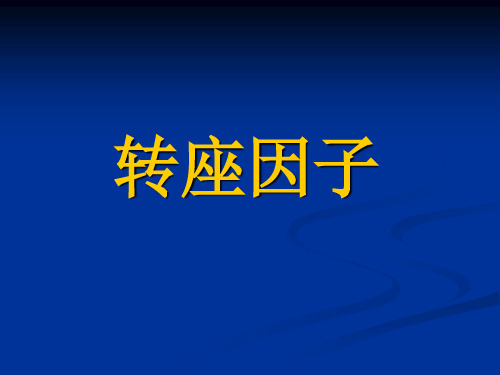 转座因子