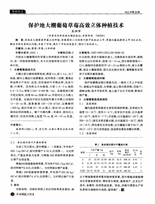 保护地大棚葡萄草莓高效立体种植技术