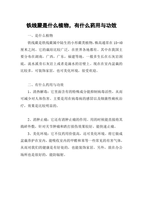 铁线蕨是什么植物,有什么药用与功效