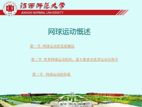 网球运动慨述讲解