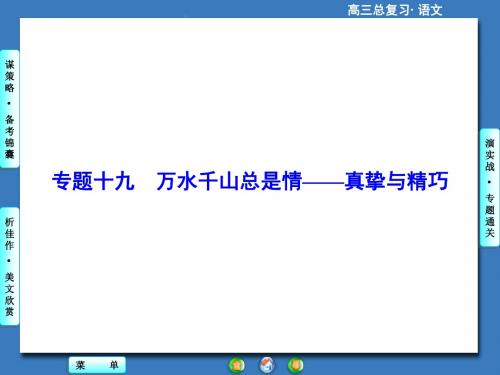 高考语文一轮总复习专题十九万水千山总是情——真挚与精巧 PPT课件