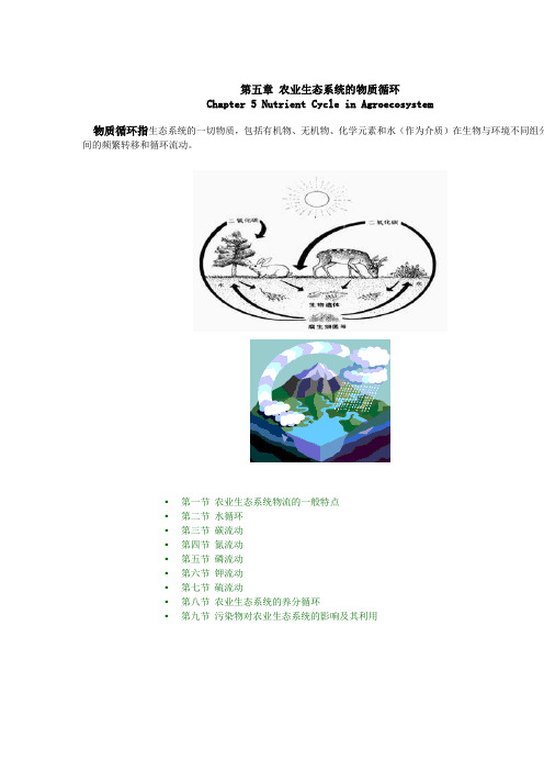 第五章 农业生态系统的物质循环