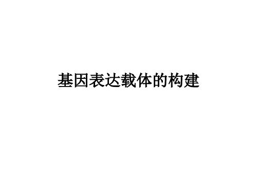 基因表达载体的构建3.7