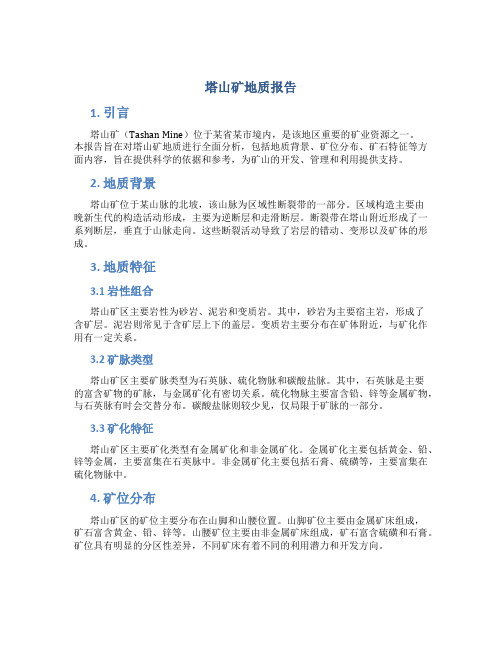 塔山矿地质报告