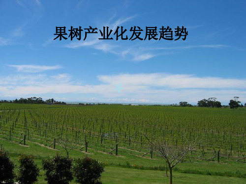 果树产业化发展趋势_PPT课件