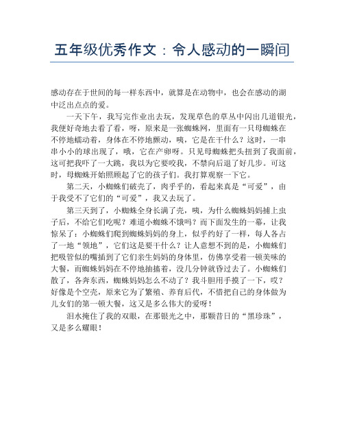 五年级优秀作文：令人感动的一瞬间