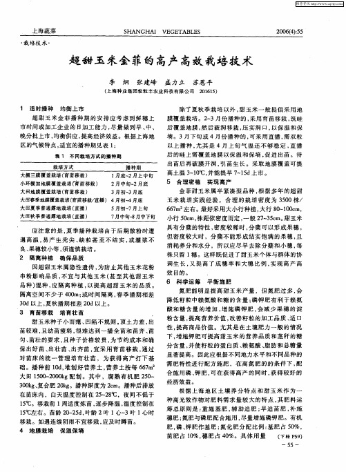 超甜玉米金菲的高产高效栽培技术