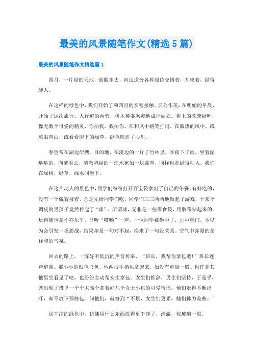 最美的风景随笔作文(精选5篇)