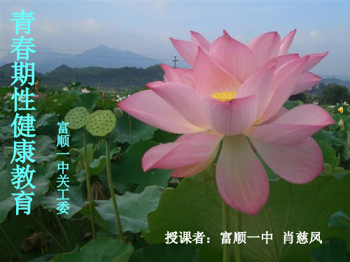 小荷才露尖尖角(青春期性健康教育)