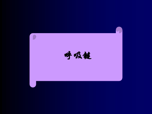 高中生物竞赛第二节_呼吸链