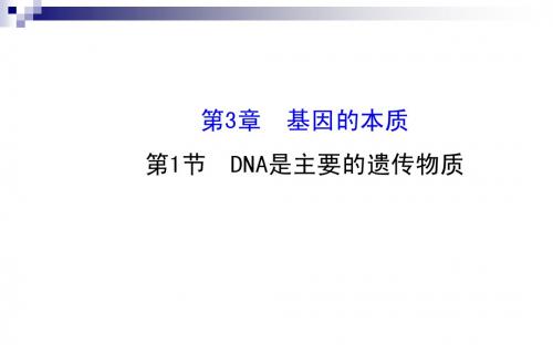 2015届高考生物一轮总复习课件：3.1DNA是主要的遗传物质