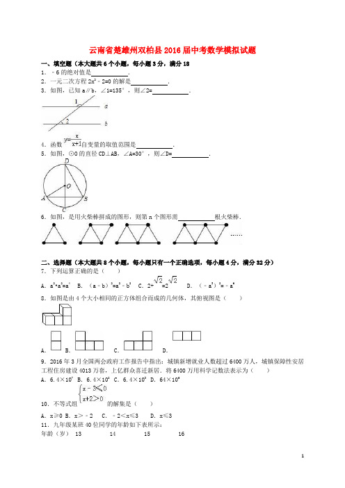 云南省楚雄州双柏县中考数学模拟试题(含解析)