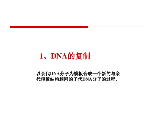 DNA的复制、转录和翻译