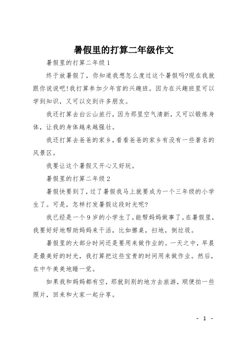 暑假里的打算二年级作文