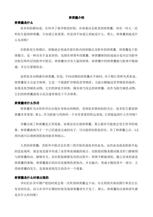 卵黄囊介绍