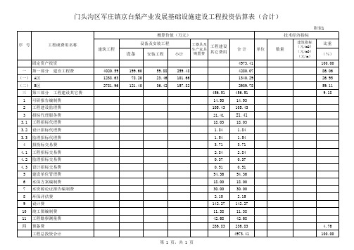 可研投资估算表 