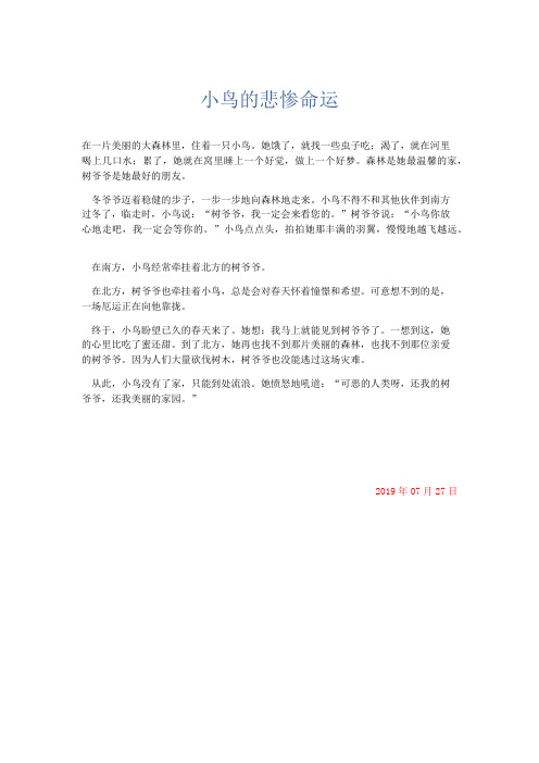 小学记叙文 小鸟的悲惨命运-精品