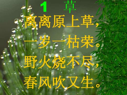 2.1《古诗两首_草》
