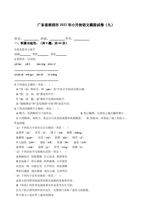 统编版六年级语文下册试题广东省深圳市20202021学年小升初语文模拟试卷(九)(附答案)