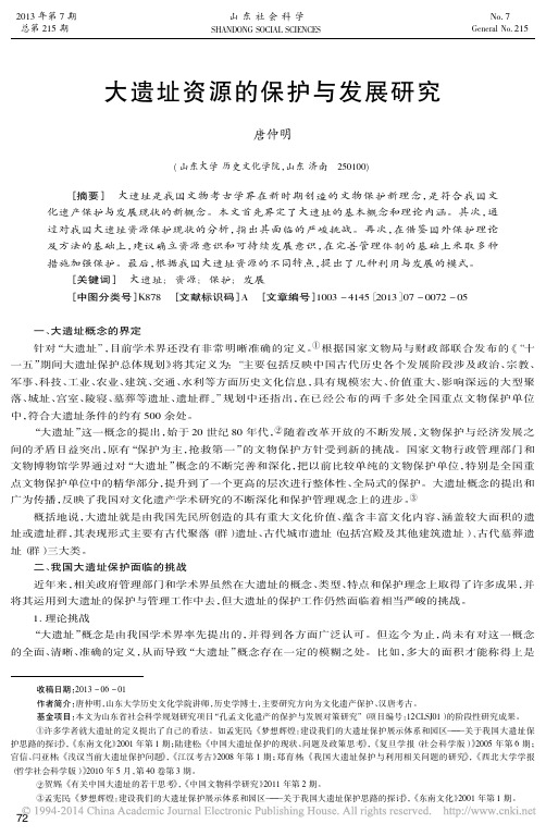 大遗址资源的保护与发展研究_唐仲明