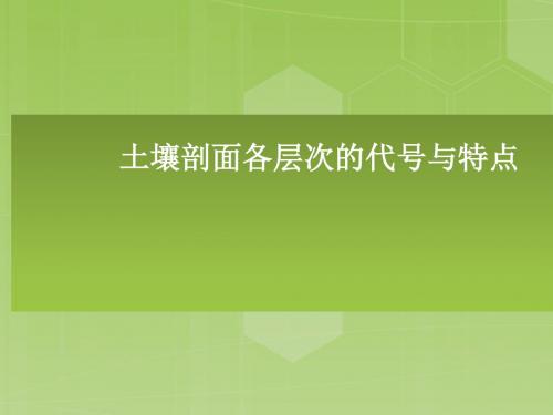 土壤剖面各层次的代号与特点解读