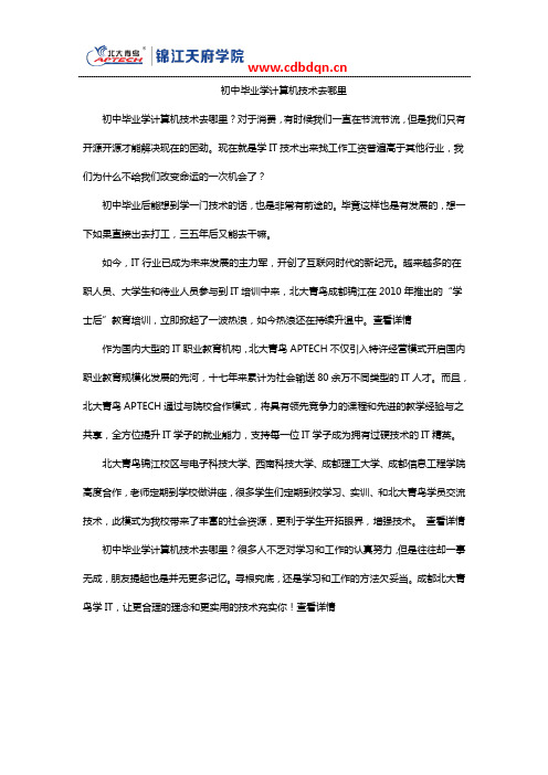 初中毕业学计算机技术去哪里？