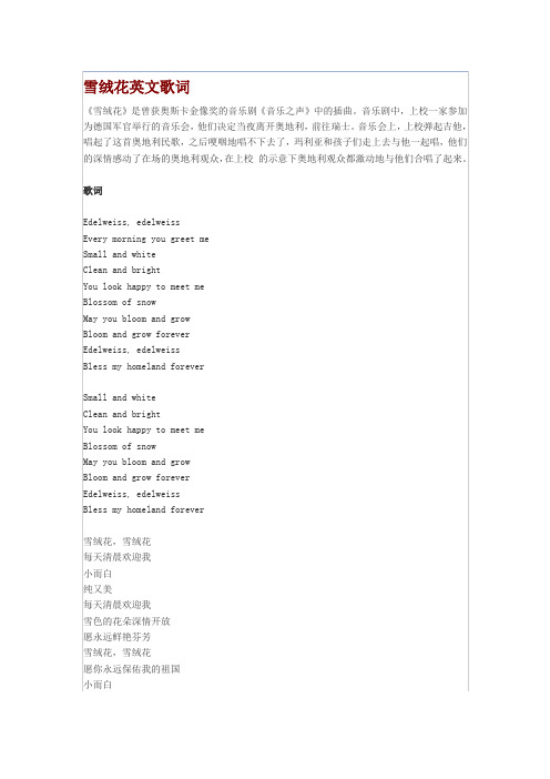 雪绒花(中英文版)