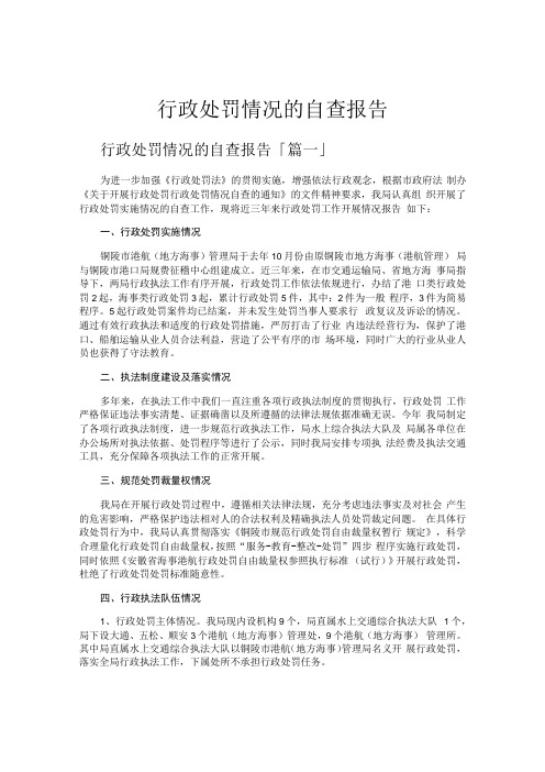 行政处罚情况的自查报告