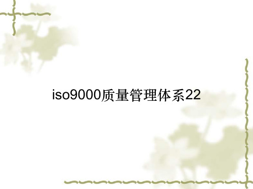 iso9000质量管理体系22