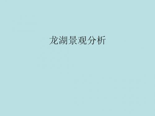 龙湖景观分析、探讨.