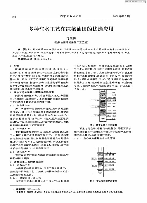 多种注水工艺在纯梁油田的优选应用