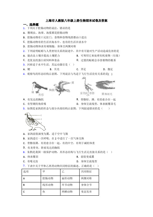 上海市人教版八年级上册生物期末试卷及答案