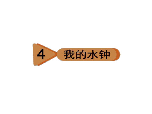 五年级下册科学课件  4、我的水钟   教科版  共8张