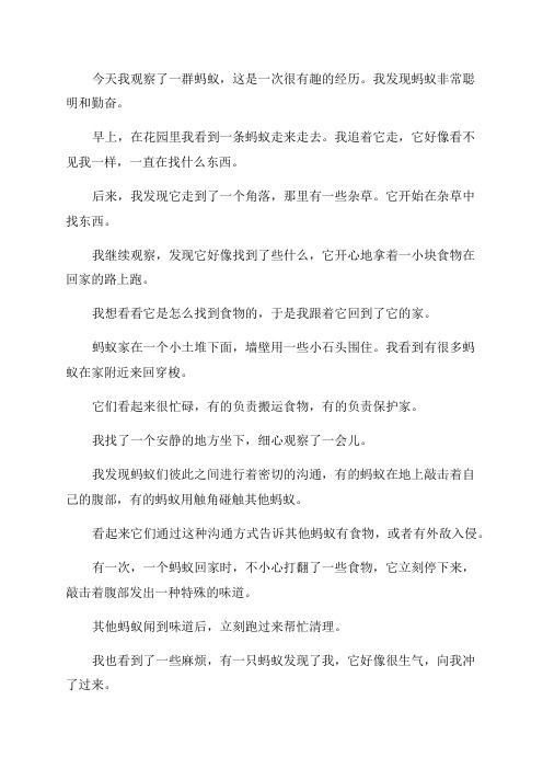 有关五年级观察蚂蚁日记
