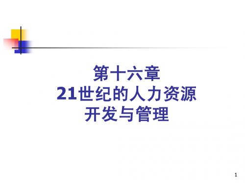 第16章21世纪的人力资源开发与管理