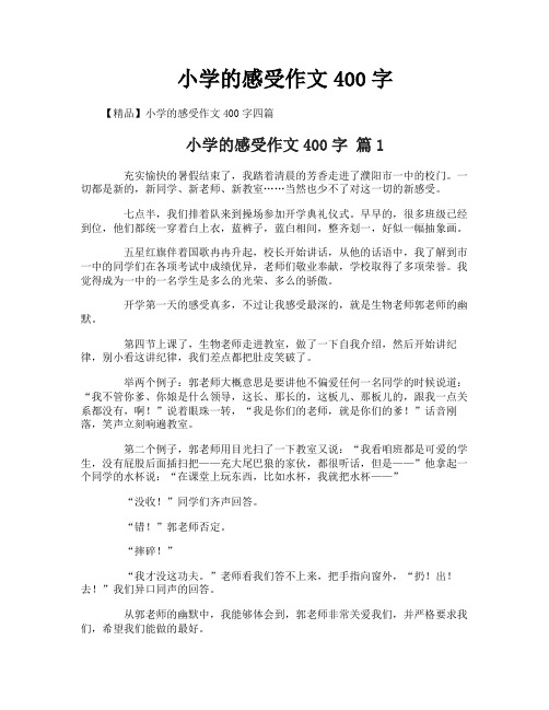 小学的感受作文400字