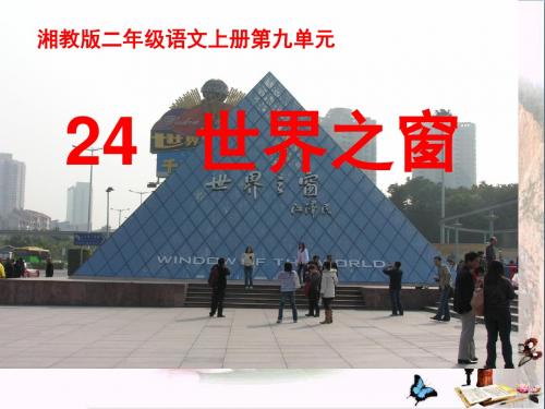二年级语文上册第九单元世界之窗PPT课件2湘教版