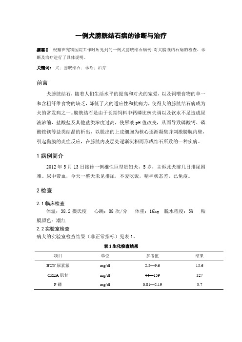 一例犬膀胱结石病的诊断与治疗