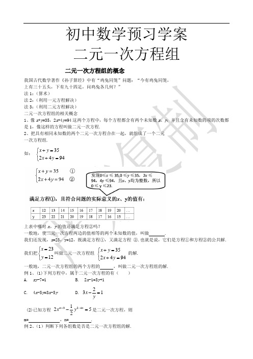 初中数学预习学案(二元一次方程组)