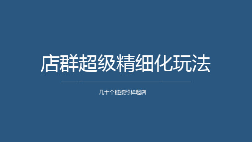 店群超级精细化玩法PPT简约