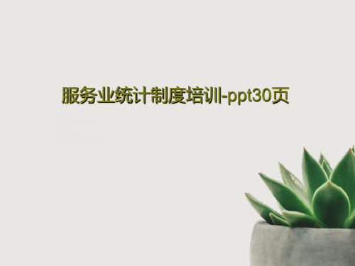 服务业统计制度培训-ppt30页共33页文档