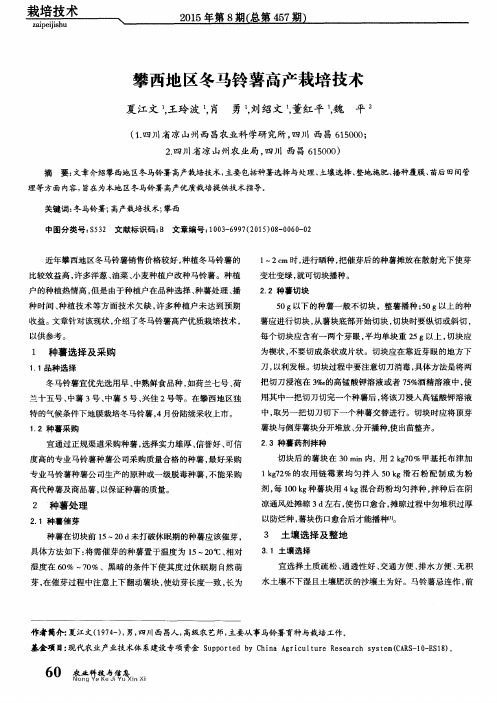 攀西地区冬马铃薯高产栽培技术
