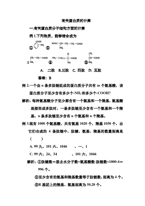 有关蛋白质的计算