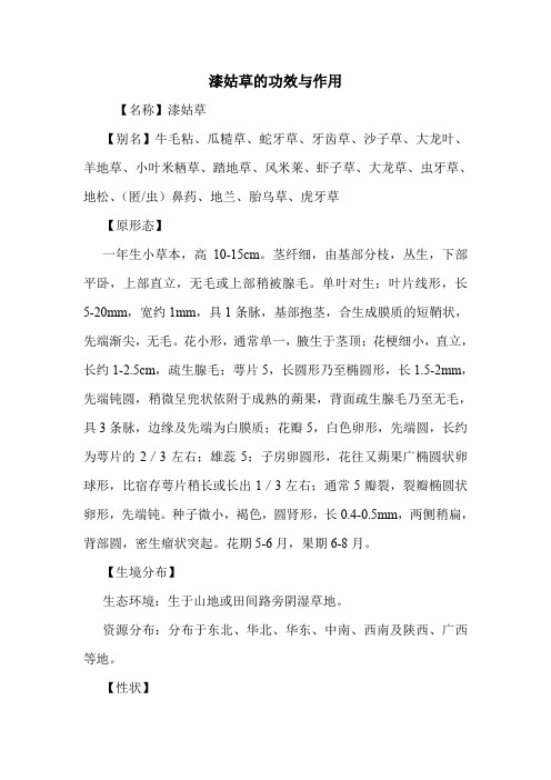 新编医药常识漆姑草的功效与作用
